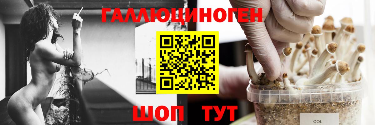 Галлюциногенные грибы Magic Shrooms Протвино