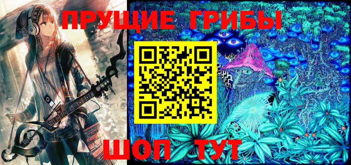Псилоцибиновые грибы мухоморы  Галлюциногенные грибы Psilocybe  купить наркотики сайты  Протвино  Вход с VPN 